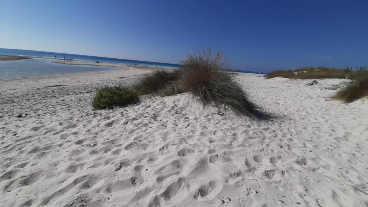Morf - Soulful Suites Casale Marittimo Luaran gambar
